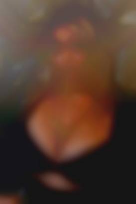 Melisa